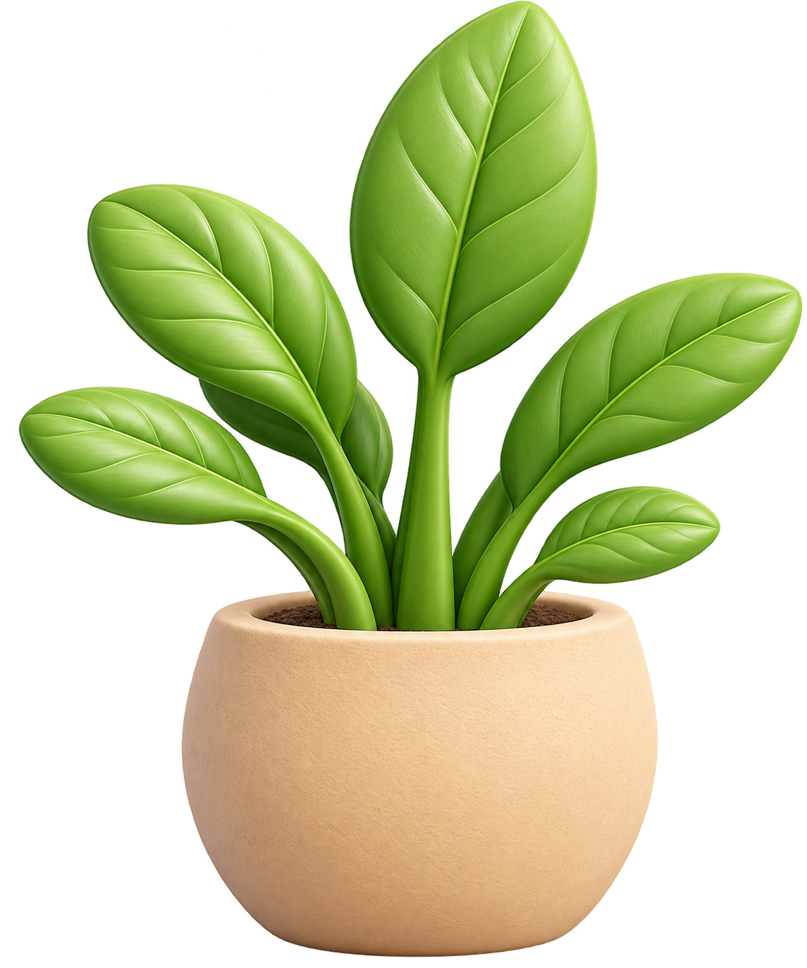 Potted clay plant
